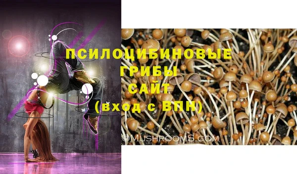 эйфоретик Волосово