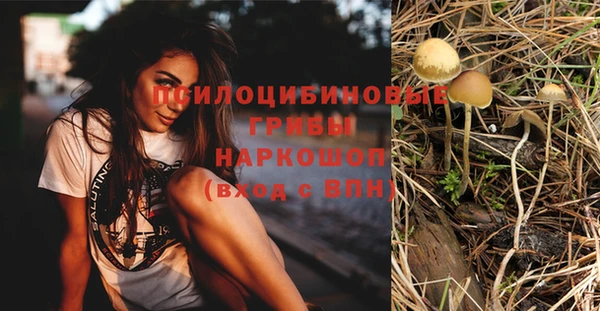дмт Богородск
