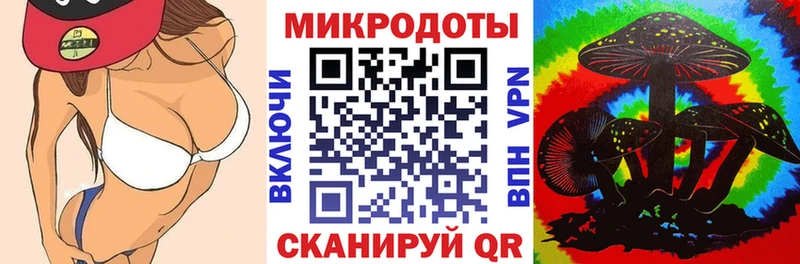 где найти   Ейск  Галлюциногенные грибы Psilocybe 